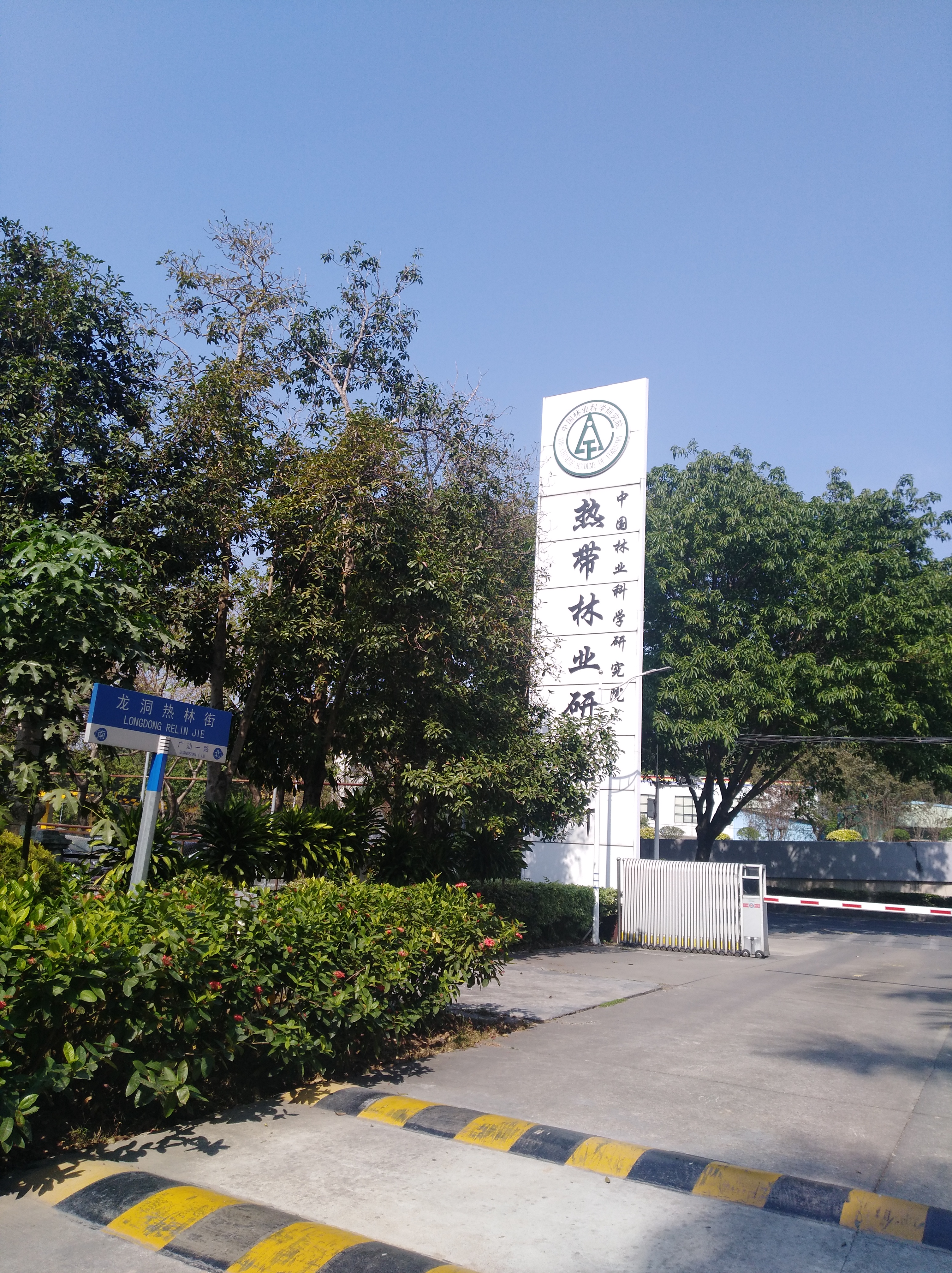 0-中國林業(yè)科學(xué)研究院熱帶林業(yè)研究所.jpg